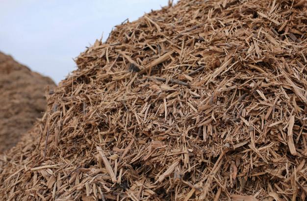 加州木材廢料制氫工廠，每年生產700萬公斤負碳氫.jpg