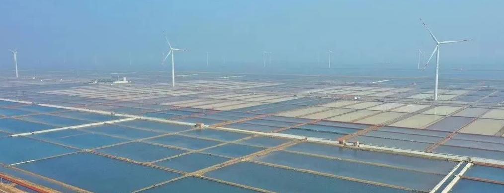 充分利用有利的地形條件，濱海大力發(fā)展風(fēng)能發(fā)電 攝影：袁彥奎.jpg