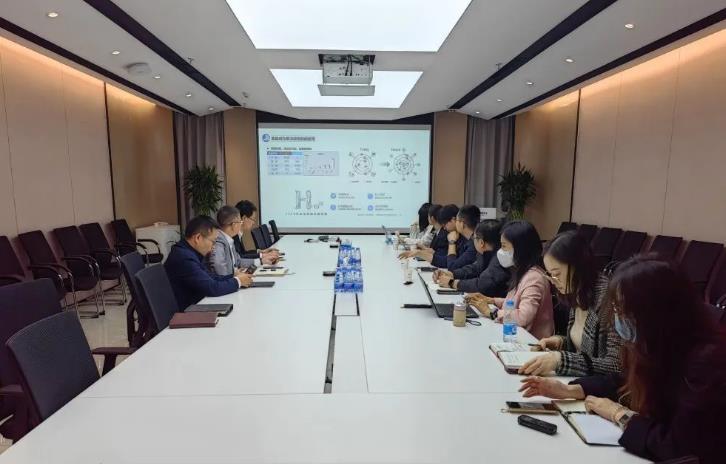 國家信息中心領導一行專題調研氫藍時代.jpg